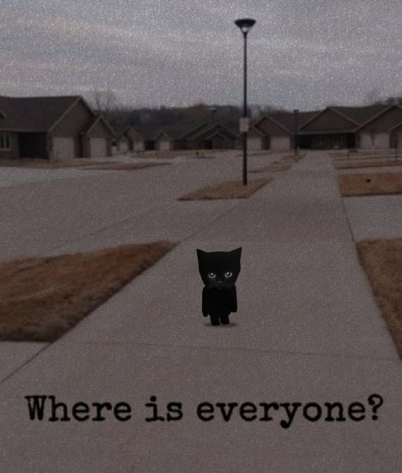 The cat alone in the middle of an empty suburban street at dusk, captioned: Where is everyone?